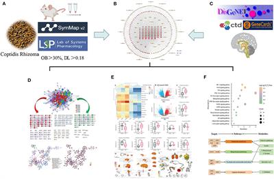 Network Pharmacology-Based Strategy to Investigate the Pharmacologic Mechanisms of Coptidis Rhizoma for the Treatment of Alzheimer's Disease